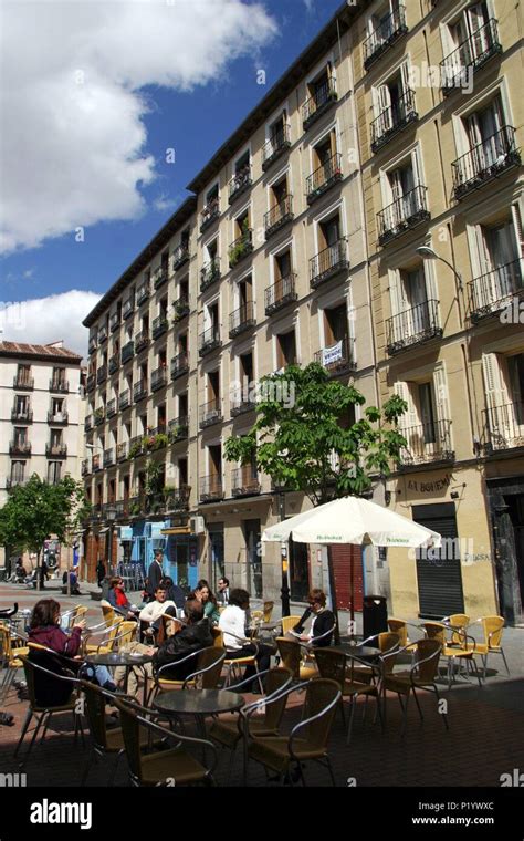 chueca terra euskadi